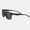 Assist 2 Polarized Unisex -aurinkolasit