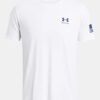 Freedom Flag Gradient T-paita