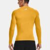 HeatGear® Compression pitkähihainen