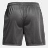 Icon Mesh 5″ shortsit
