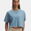 Pesty logo, boxy crop, lyhythihainen