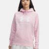 Rival Fleece Big Logo -huppari